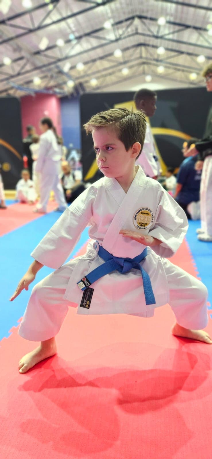 Sensei Simon - Oi-Zuki Punch Technique